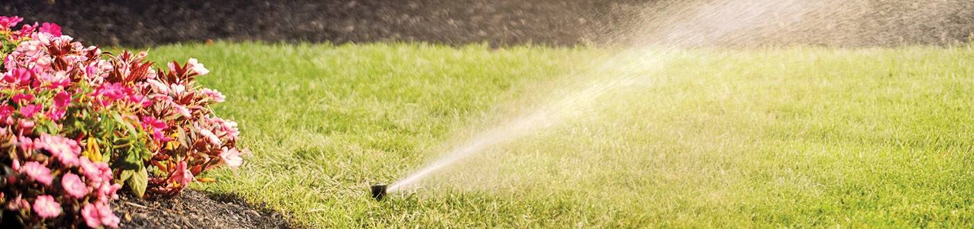 Woman using Moen Smart Irrigation on her mobile phone.