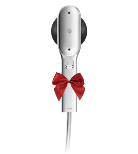 Moen Nebia Handshower