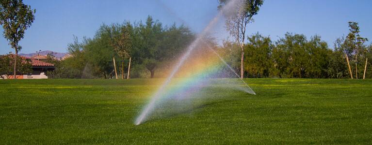 Sprinklers on a lawn creating a rainbow